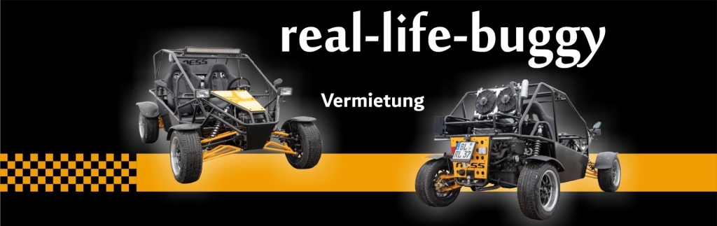real-life-buggy
